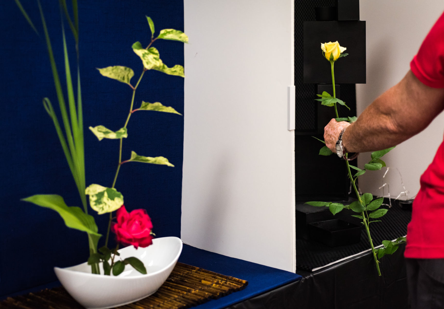 Rose Show